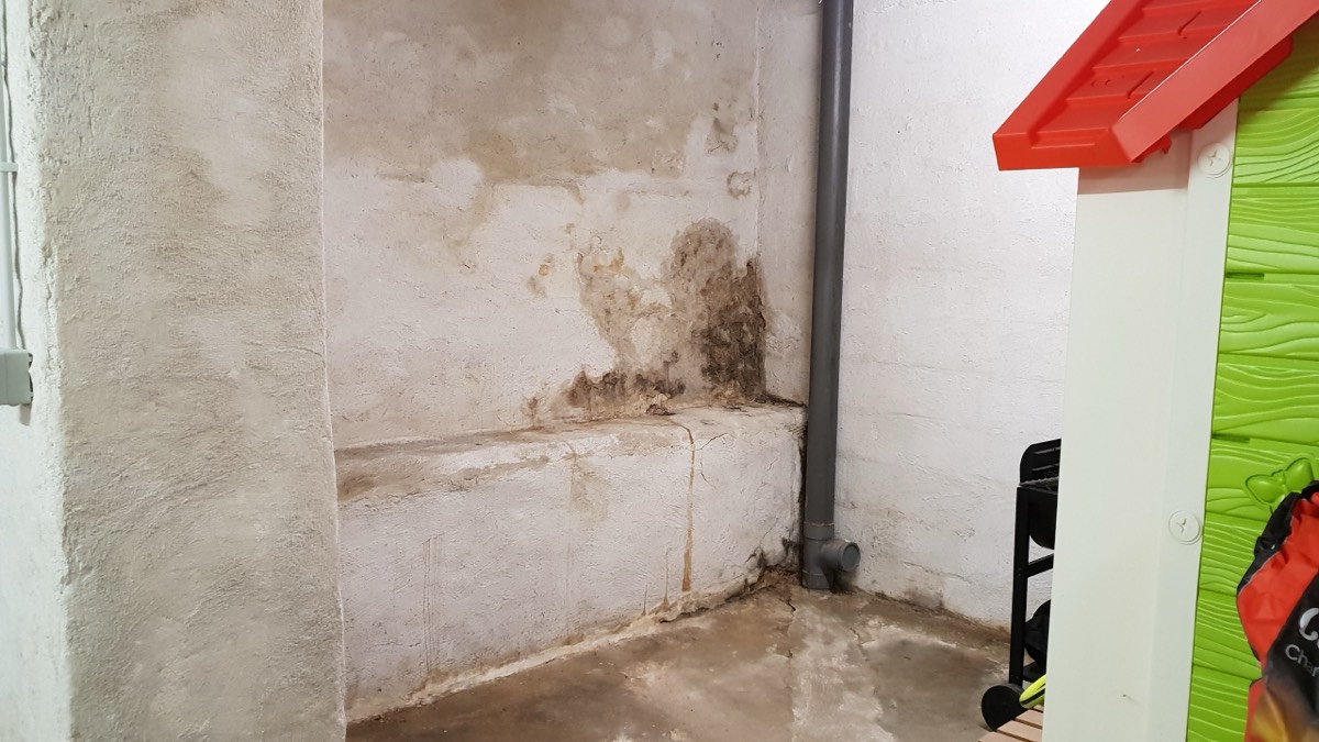 Infiltrations d'eau - Expertise humidité à Auxerre